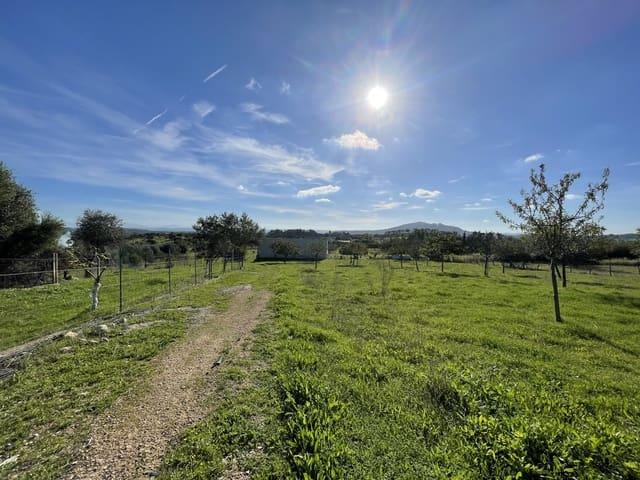 Terreno en venta en Moscari, Raiguer