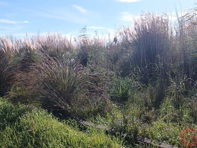 Terreno en venta en Comarca de la Costa Granadina, Andalucía