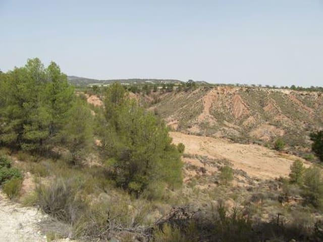 Terreno en venta en Río Mula, Murcia