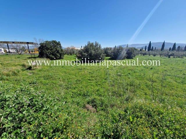Terreno en venta en Setla de Nunyes, el Comtat