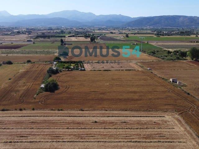 Terreno en venta en Muro