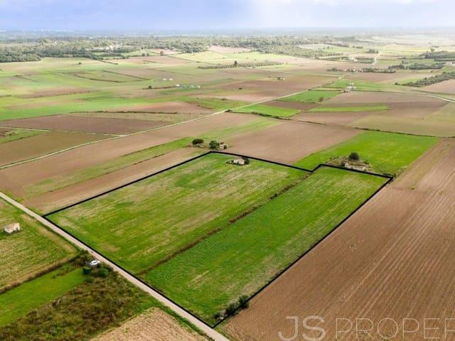 Terreno en venta en Pla de Mallorca, Baleares