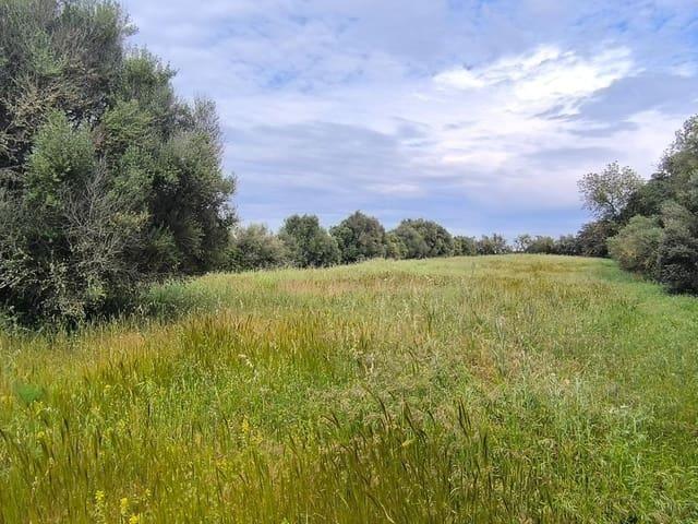 Terreno en venta en Muro