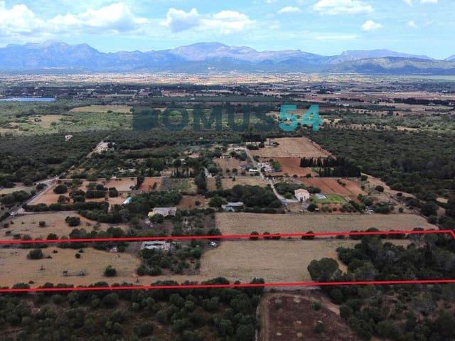 Terreno en venta en Pla de Mallorca, Baleares
