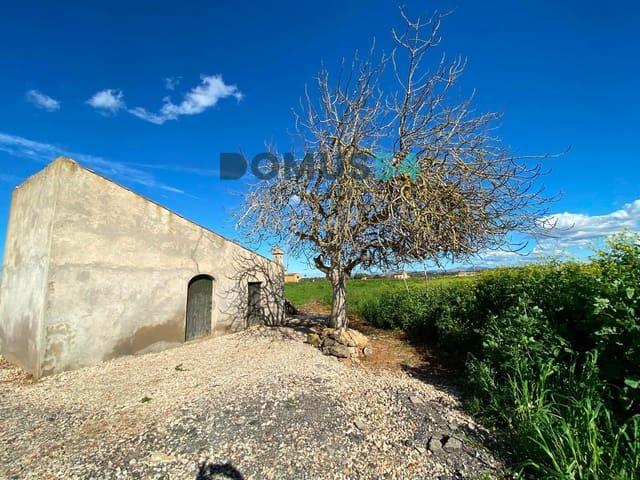 Terreno en venta en Pla de Mallorca, Baleares
