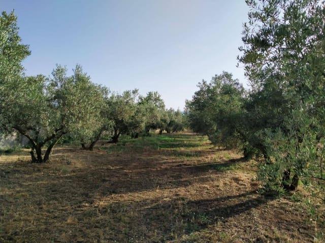 Terreno en venta en Nigüelas, Granada