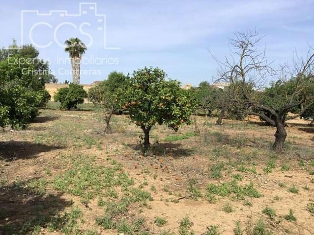 Terreno en venta en Olivares, Andalucía