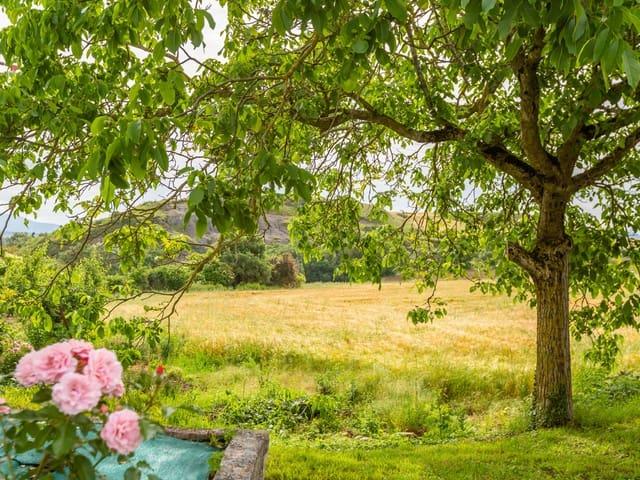 Terreno en venta en Olza, Iruñerria