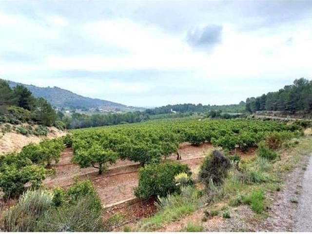 Terreno en venta en la Plana Baixa, Valencia
