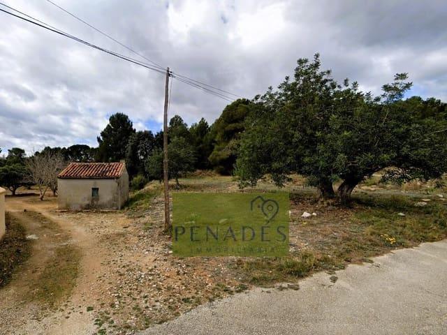Terreno en venta en Ontinyent, Valencia