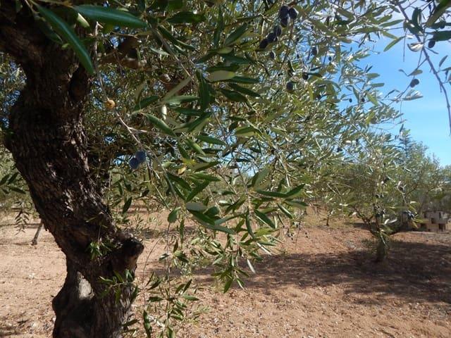 Terreno en venta en la Vall d'Albaida, Valencia