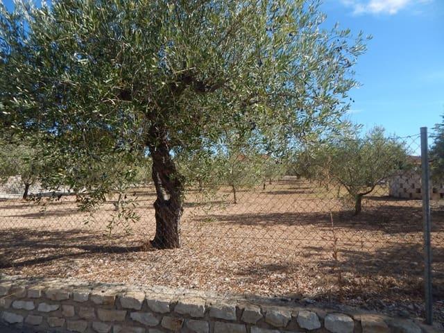 Terreno en venta en la Vall d'Albaida, Valencia