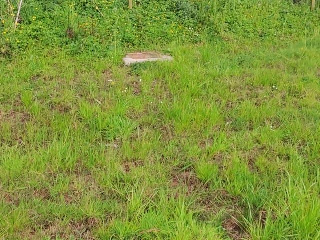 Terreno en venta en Oruña, Piélagos