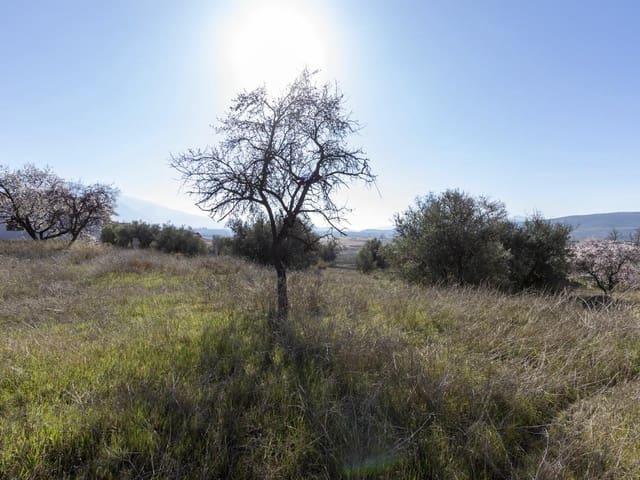 Terreno en venta en El Puntal, Comarca del Valle de Lecrín