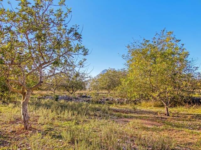 Terreno en venta en la Marina Alta, Valencia