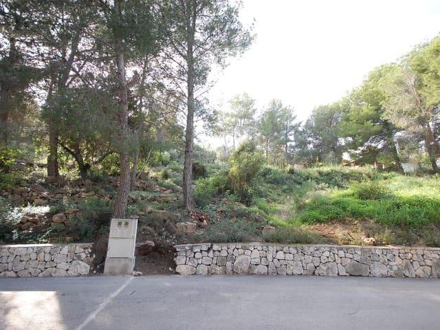 Terreno en venta en la Marina Alta, Valencia