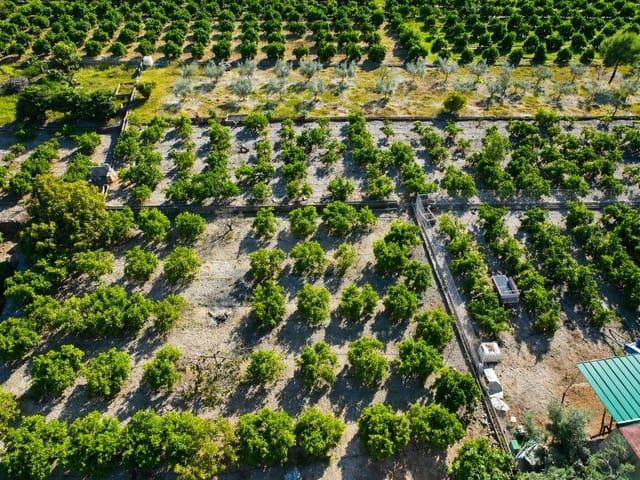 Terreno en venta en la Marina Alta, Valencia