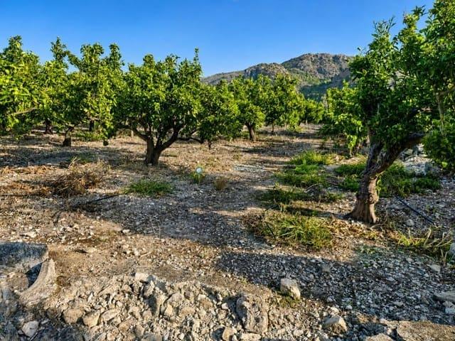 Terreno en venta en la Marina Alta, Valencia