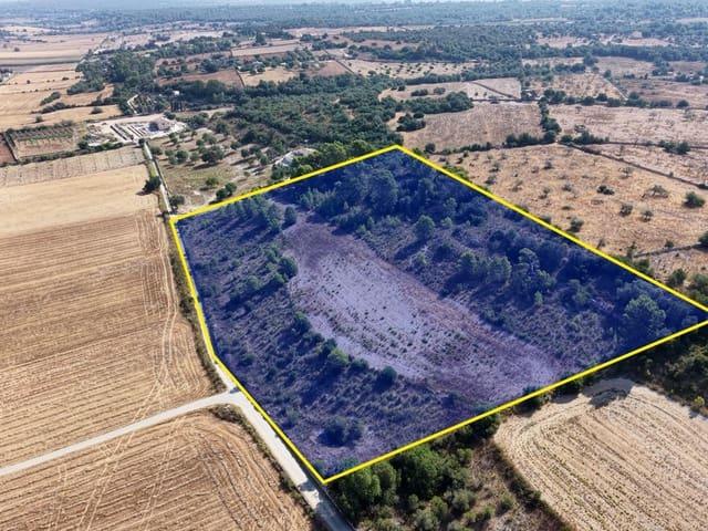 Terreno en venta en Pla de Mallorca, Baleares