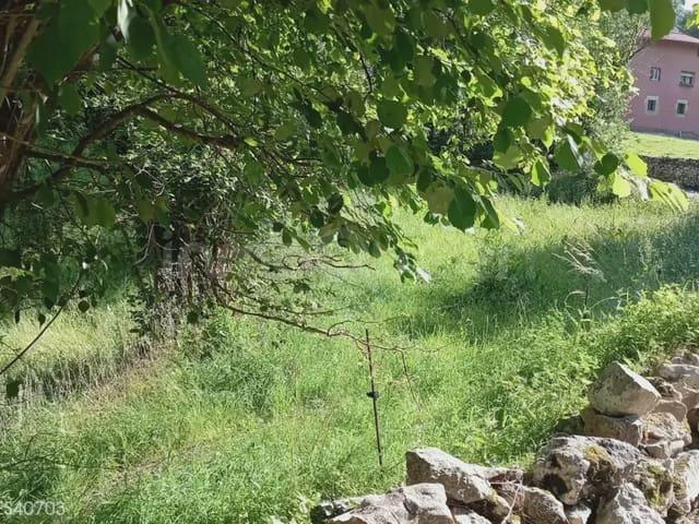 Terreno en venta en Peñamellera Baja, Asturias