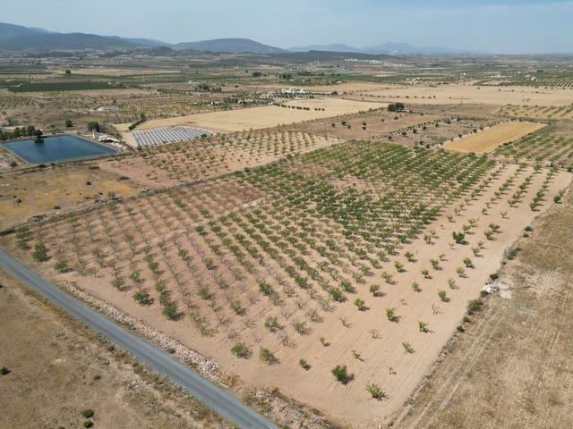 Terreno en venta en el Vinalopó Mitjà / El Vinalopó Medio, Valencia