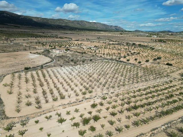 Terreno en venta en el Vinalopó Mitjà / El Vinalopó Medio, Valencia