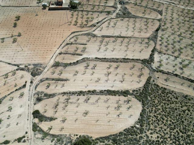 Terreno en venta en el Vinalopó Mitjà / El Vinalopó Medio, Valencia