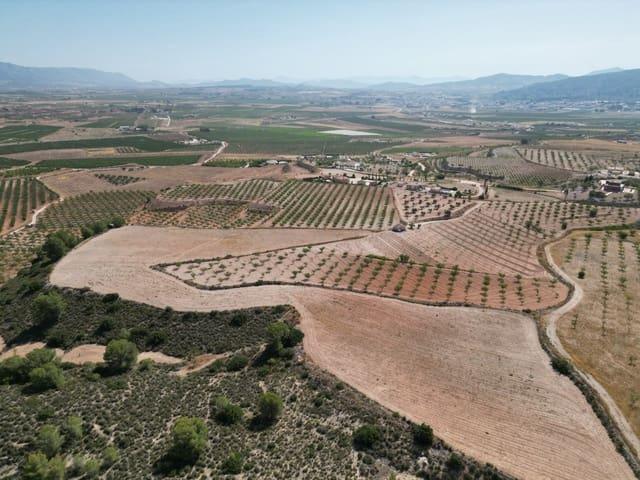 Terreno en venta en el Vinalopó Mitjà / El Vinalopó Medio, Valencia