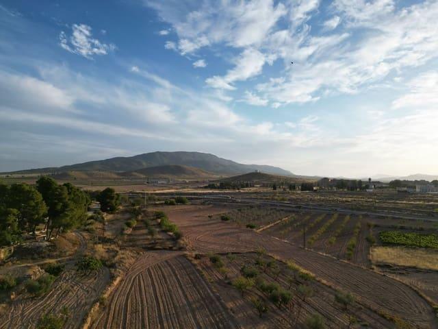Terreno en venta en el Vinalopó Mitjà / El Vinalopó Medio, Valencia