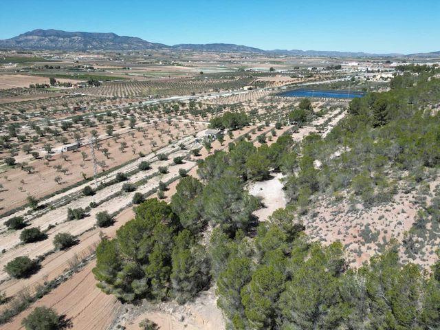 Terreno en venta en el Pinós / Pinoso, Alacant / Alicante