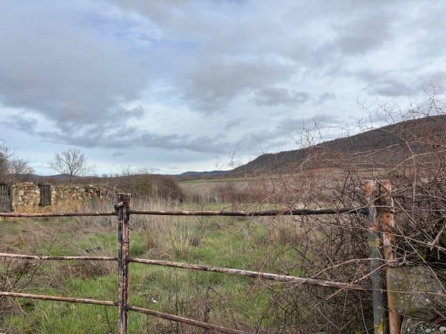 Terreno en venta en Pomar De Valdivia, Castilla y León