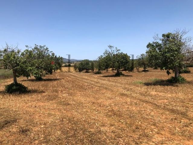 Terreno en venta en Manacor, Llevant