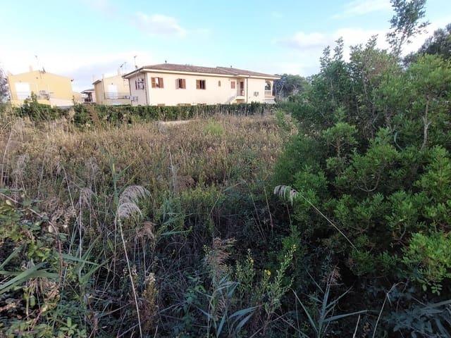 Terreno en venta en Port d'Alcúdia, Raiguer