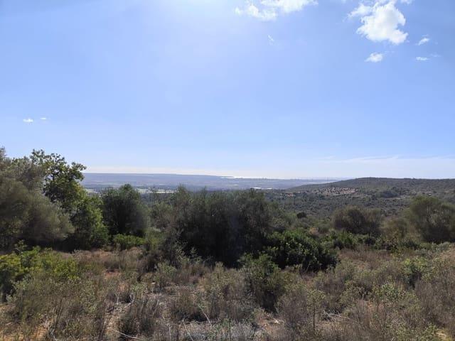 Terreno en venta en Palma, Baleares