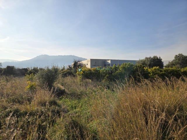 Terreno en venta en la Safor, Valencia