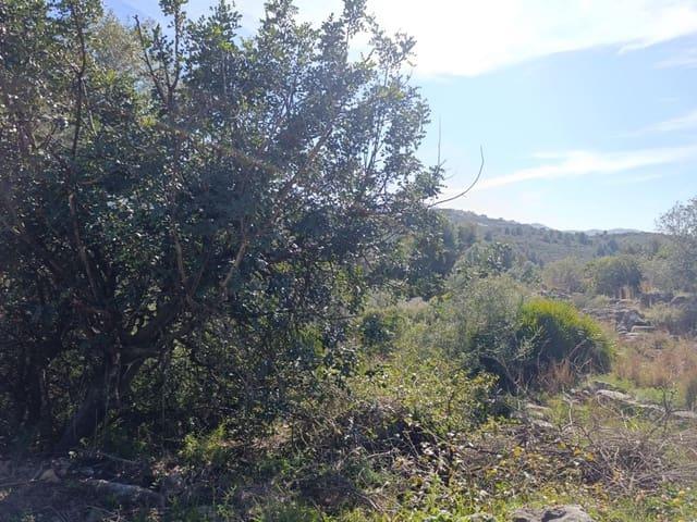 Terreno en venta en la Marina Alta, Valencia