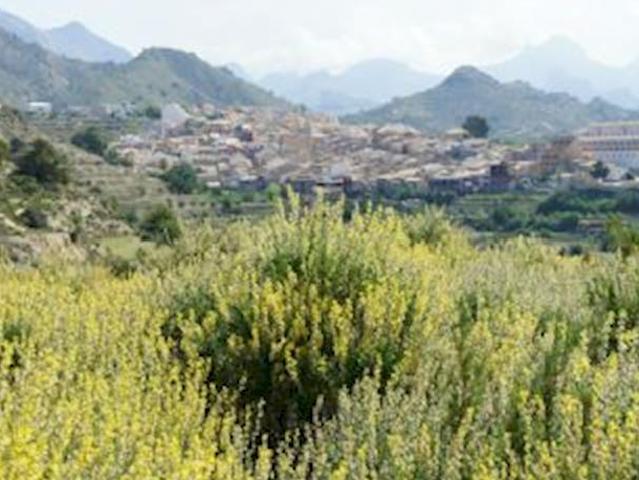 Terreno en venta en Relleu