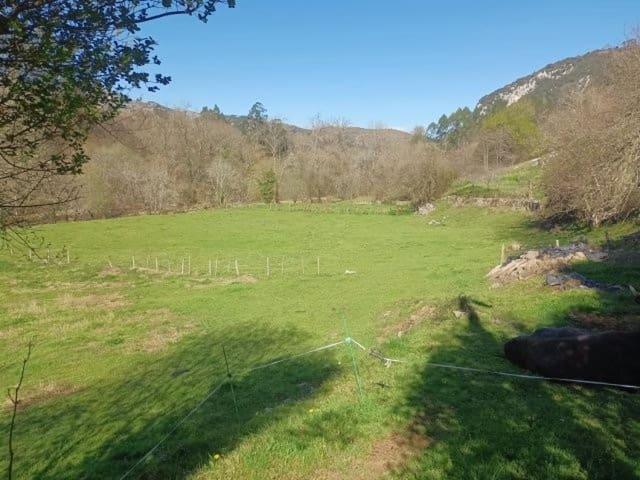 Terreno en venta en Rionansa, Cabrojo