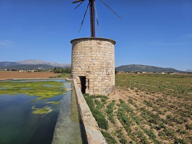 Terreno en venta en Raiguer, Baleares