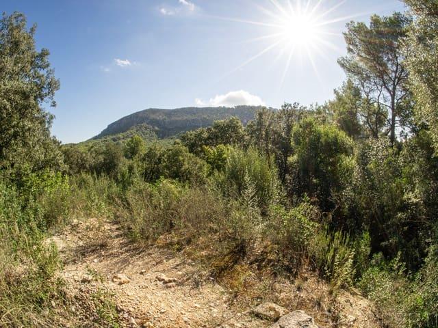 Terreno en venta en Sa Pobla
