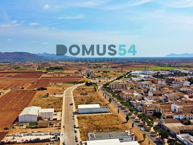 Terreno en venta en Sa Pobla