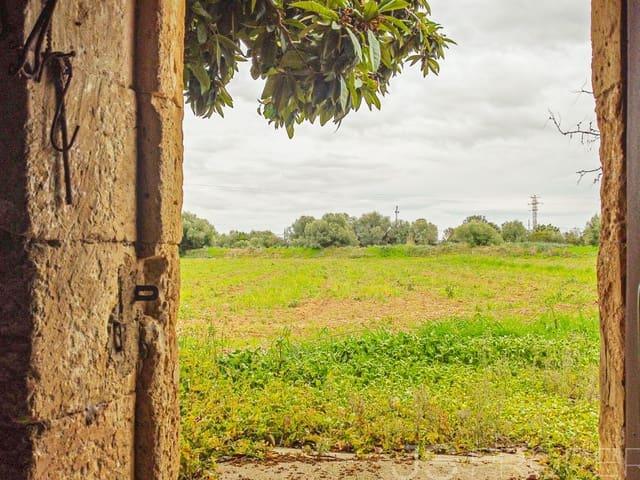 Terreno en venta en Raiguer, Baleares