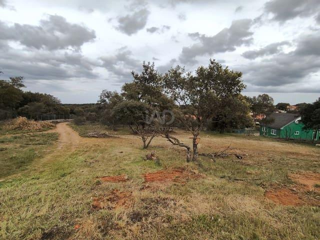 Terreno en venta en Carrascal De Barregas, Castilla y León