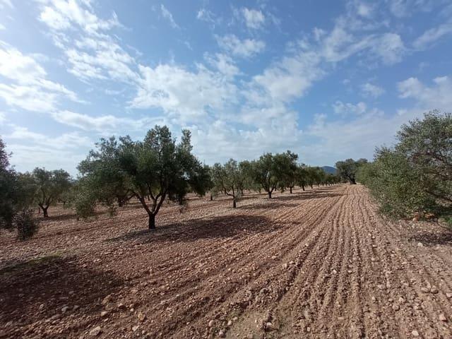 Terreno en venta en Cecilia Bartolomé (Mujeres Libres), l'Alt Vinalopó / El Alto Vinalopó
