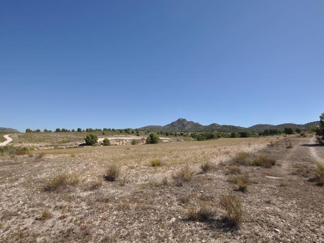 Terreno en venta en Cecilia Bartolomé (Mujeres Libres), l'Alt Vinalopó / El Alto Vinalopó