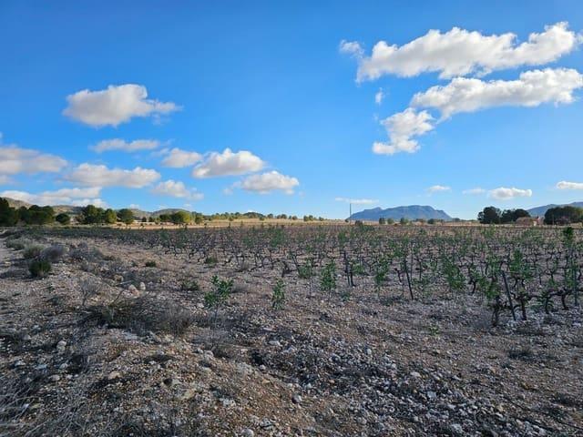 Terreno en venta en Cecilia Bartolomé (Mujeres Libres), l'Alt Vinalopó / El Alto Vinalopó