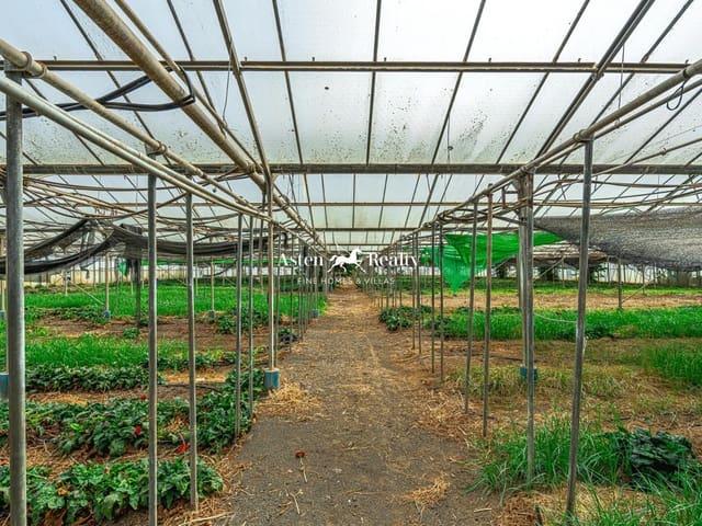 Terreno en venta en Tenerife, San Honorato