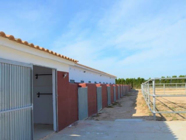 Terreno en venta en el Baix Segura / La Vega Baja, Valencia