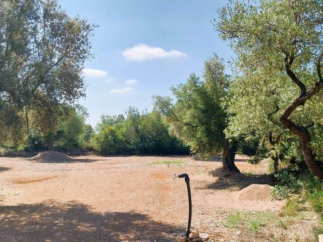 Terreno en venta en Valencia