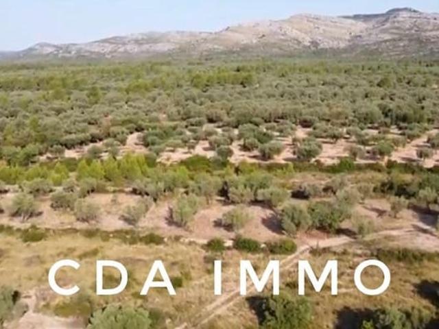 Terreno en venta en el Baix Maestrat, Valencia